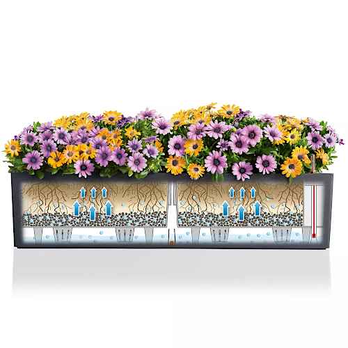 The Self-Watering System